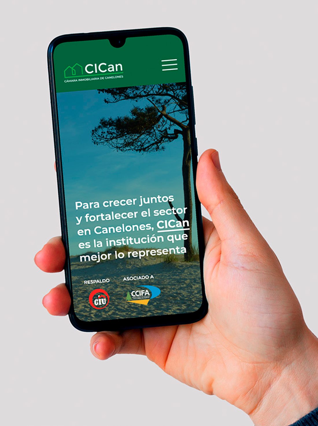 CICan — sitio web en celular