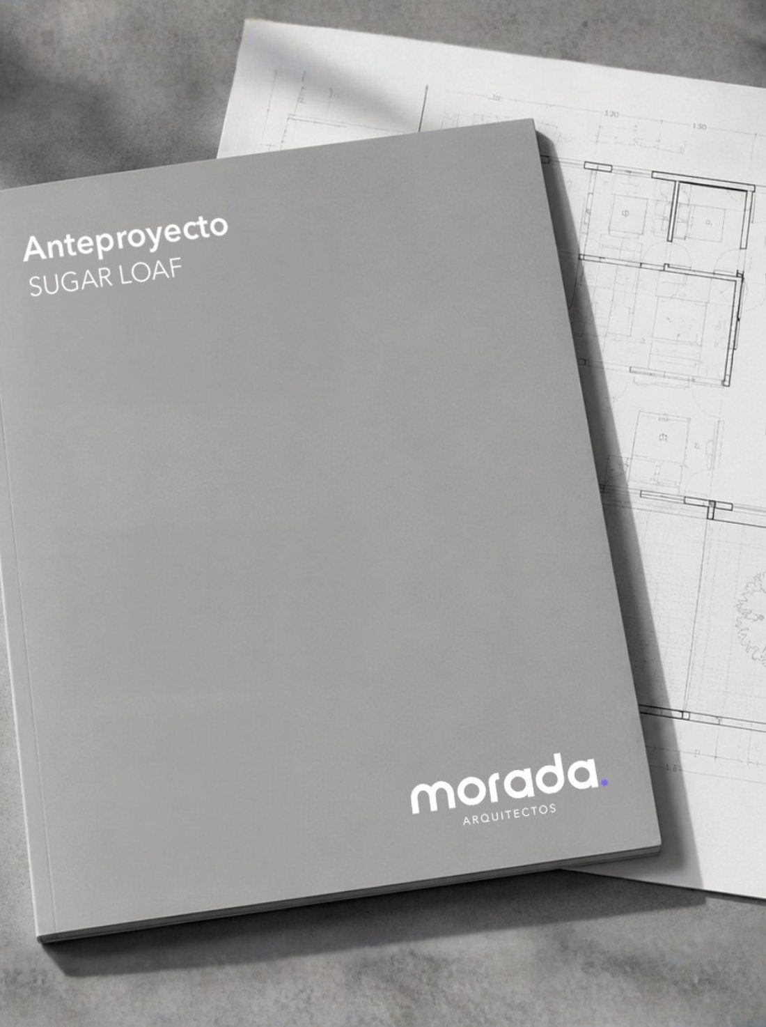 Carpeta de anteproyecto de Morada