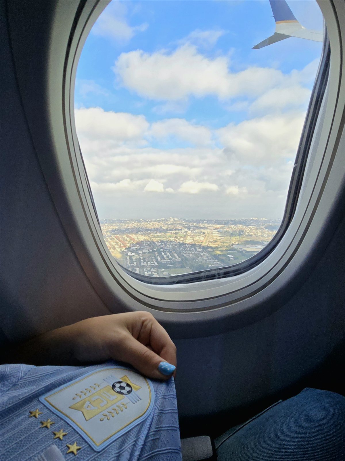 Mundial 2026 — vista desde el avión