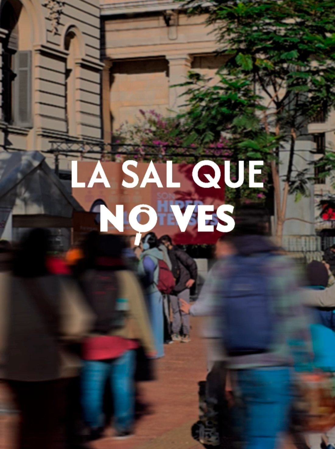 OMIS: La sal que no ves