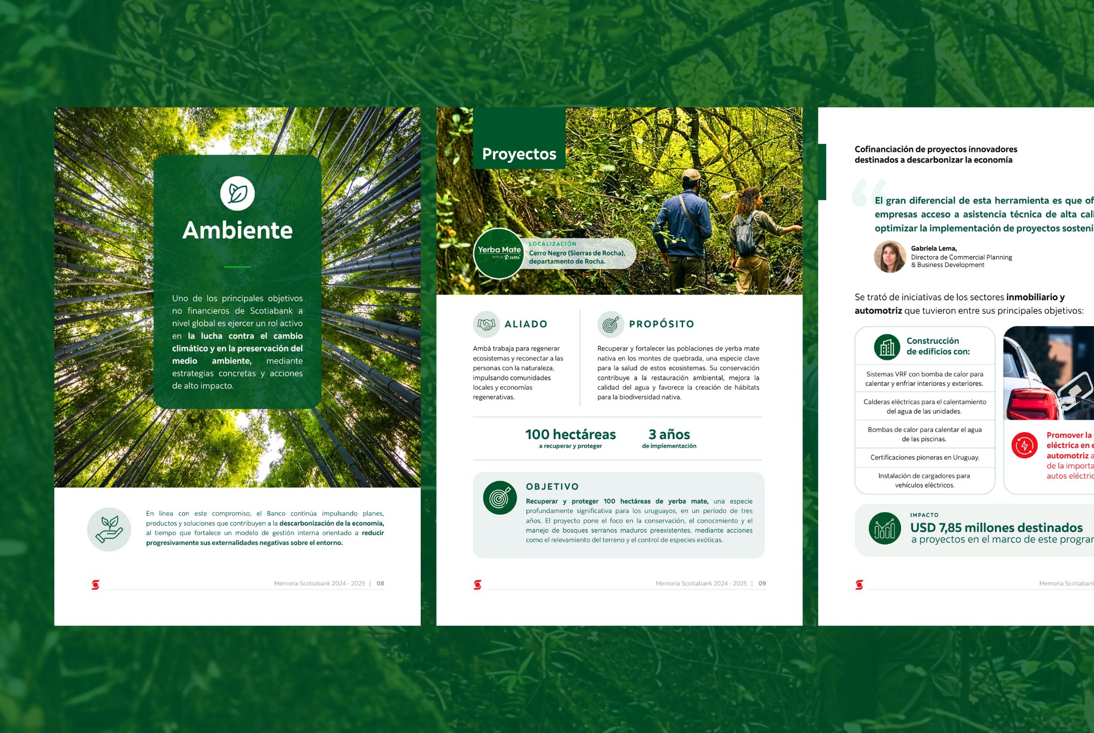 Memoria Scotiabank — sección Ambiente